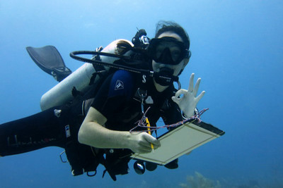 Institute of Environment